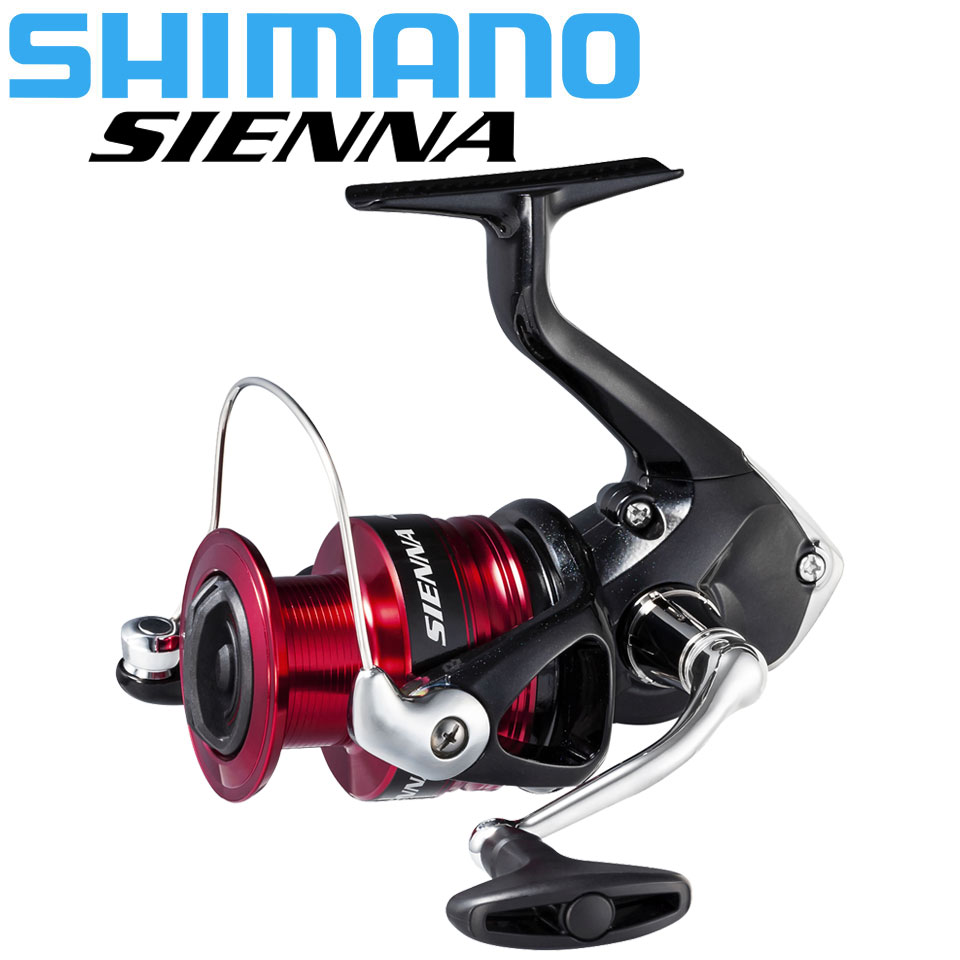 بكرة صيد دوارة من SHIMANO SIEN - مراجعة Fishing Equipment Daiwa وسعره